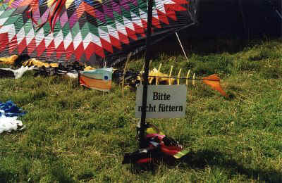 Altenbrucher Drachenfest am 11.08.2001